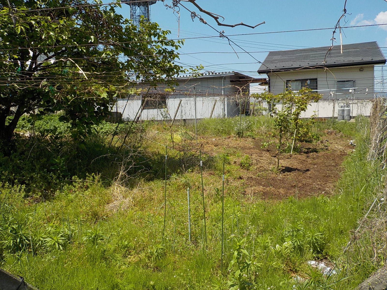 売買物件情報 不動産情報なら株式会社雨宮工務店 甲州市